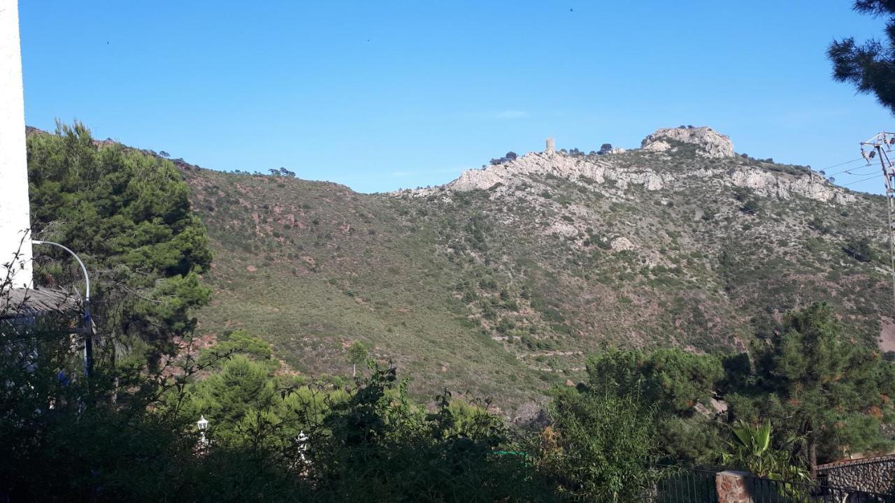 Apartamentos Christina Benicassim Bagian luar foto