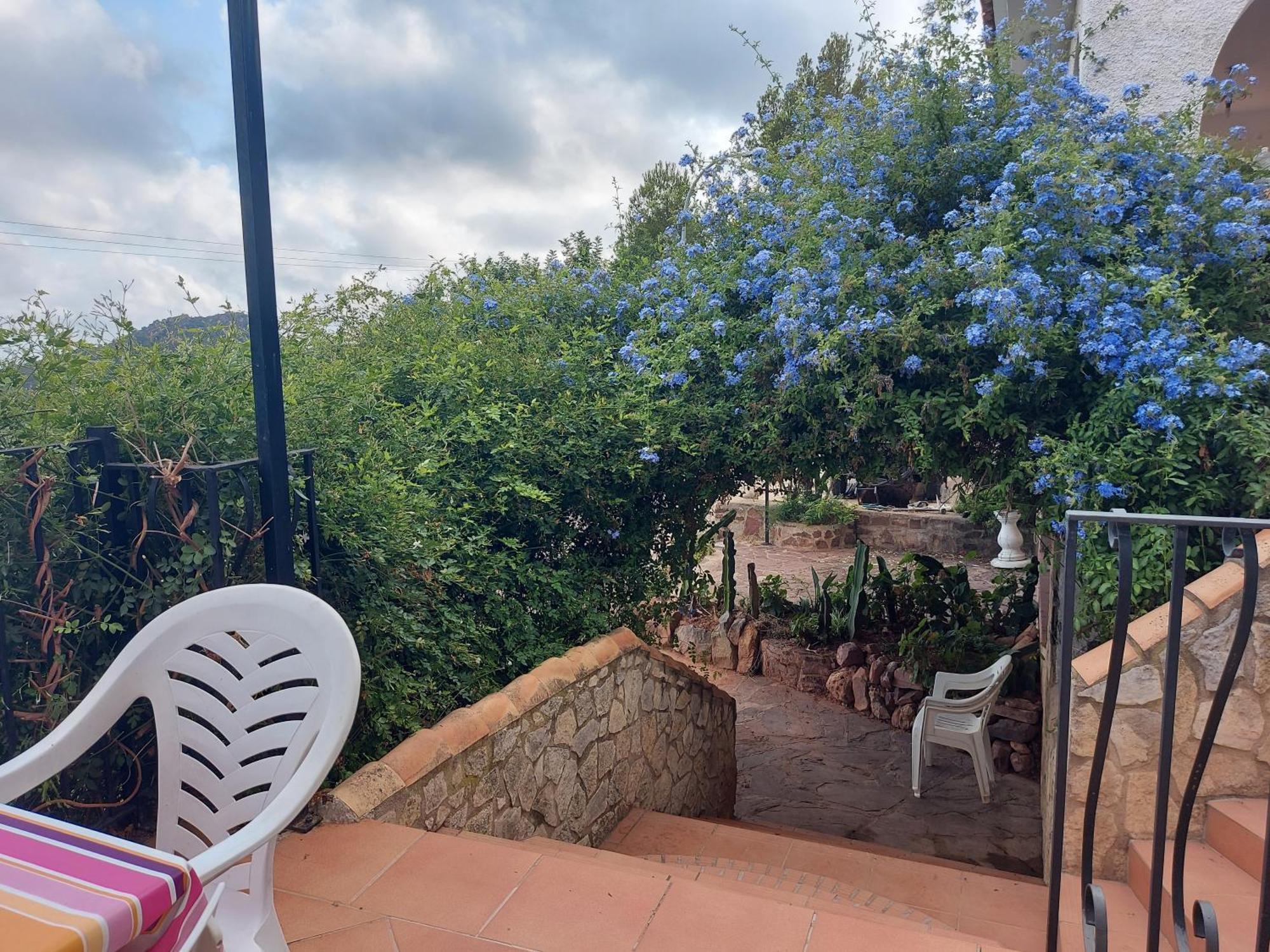Apartamentos Christina Benicassim Bagian luar foto
